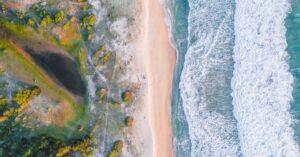 Navigating the Shifting Sands: Postal Policy, LULU, and the All-Time High Paradox